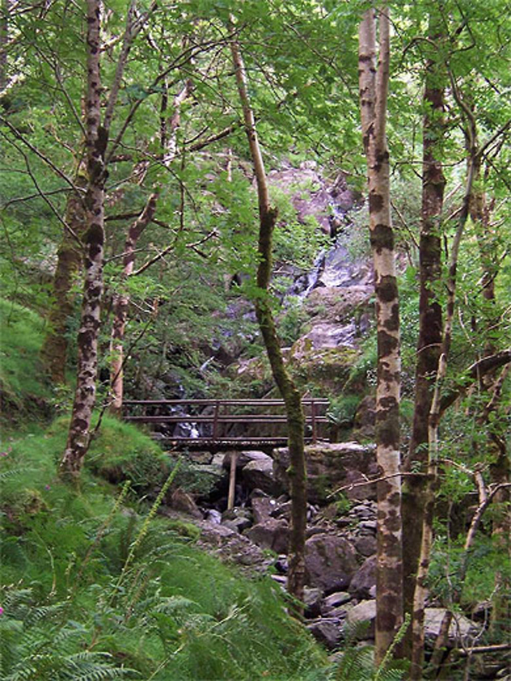 Gougane Barra