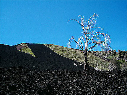Coulée de lave sur l'Etna