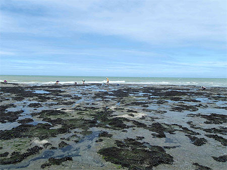 A la pêche aux moules A la pêche aux moules