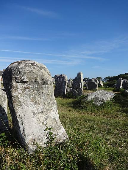 Alignements de Kerzérho