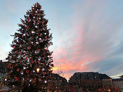 Sapin de Noël de Strasbourg