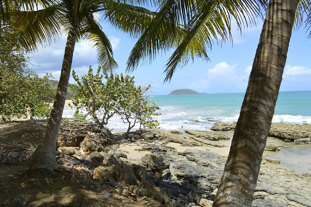 Plage sauvage à Sainte-Rose