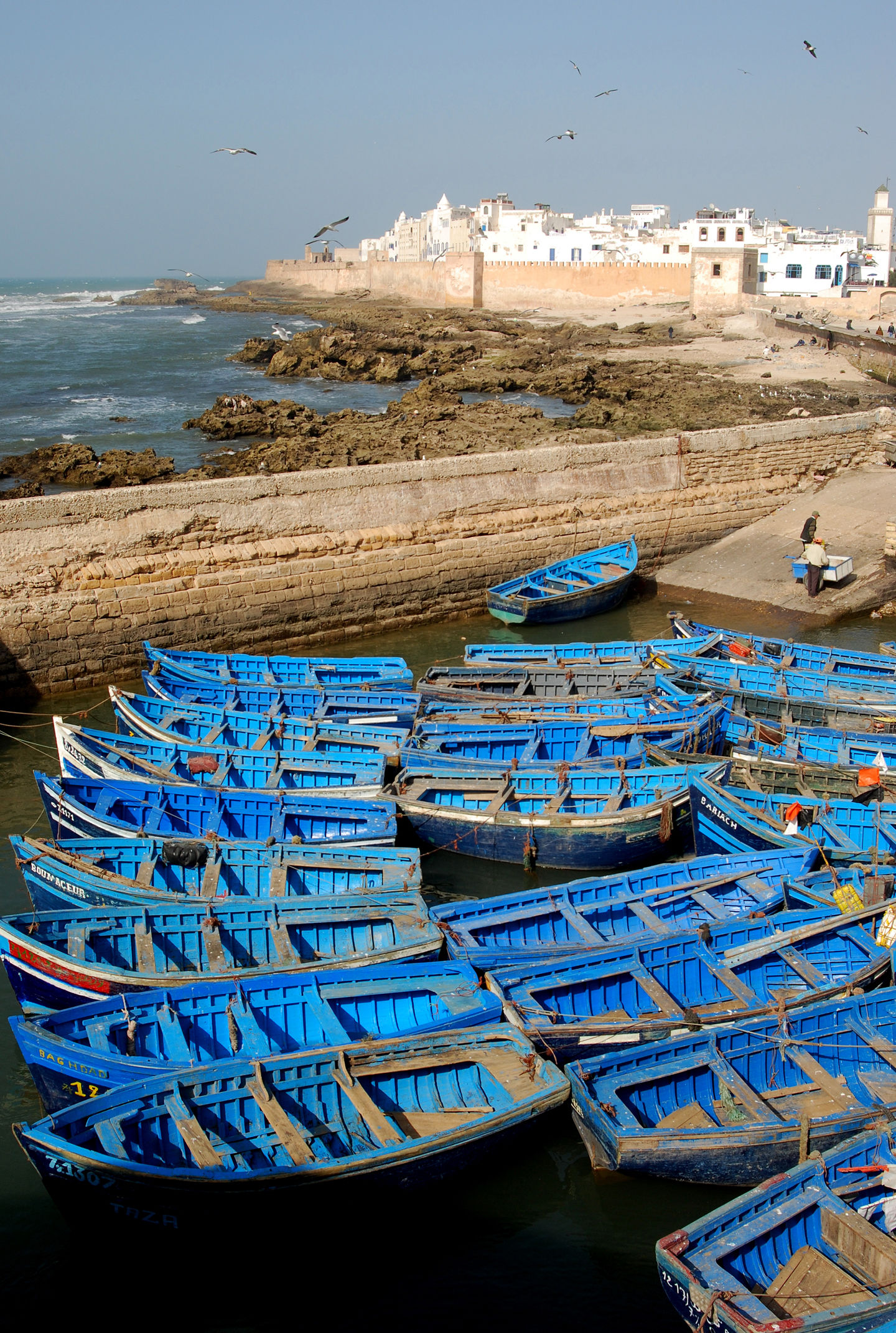 Le port d'Essaouira et la citadelle