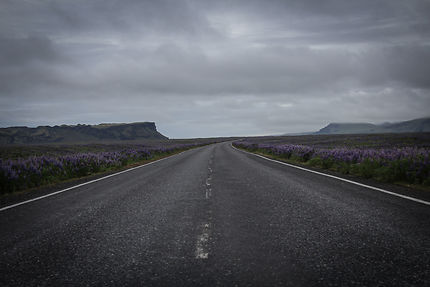 L'infinie route circulaire d'Islande