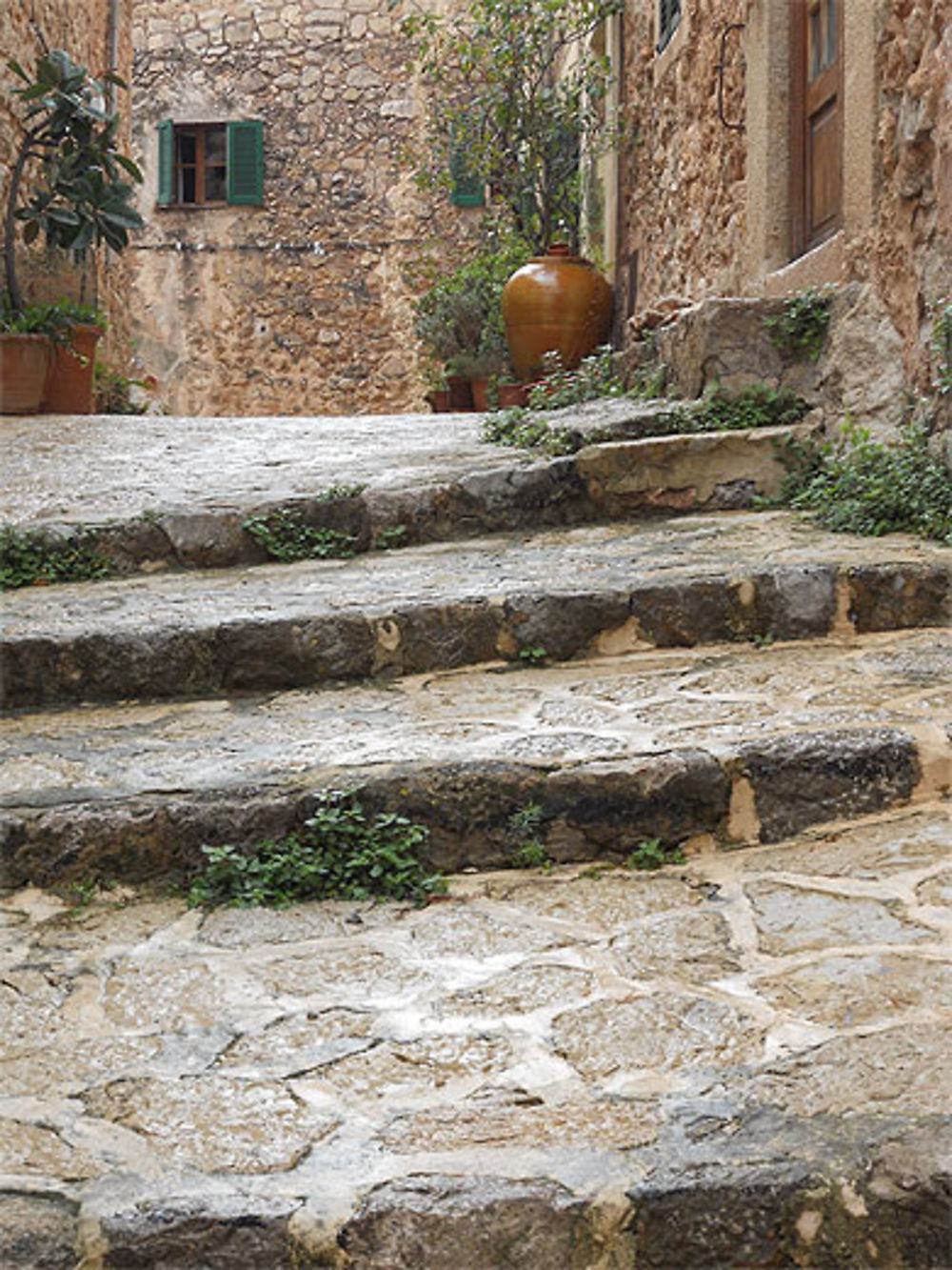 Ruelle de Valldemossa