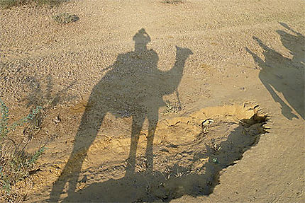 Ombres dans le désert de Thar