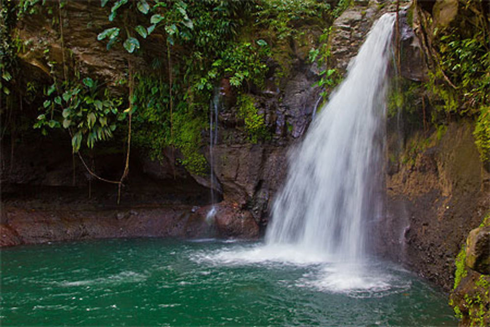 Saut de la lézarde