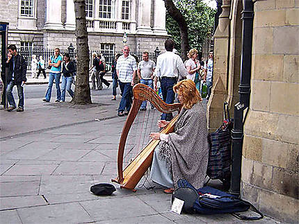 Harpiste 