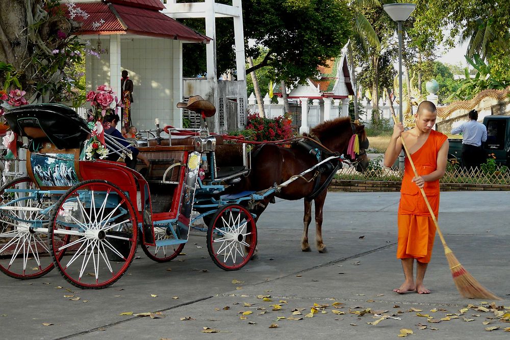 Calèche de Lampang