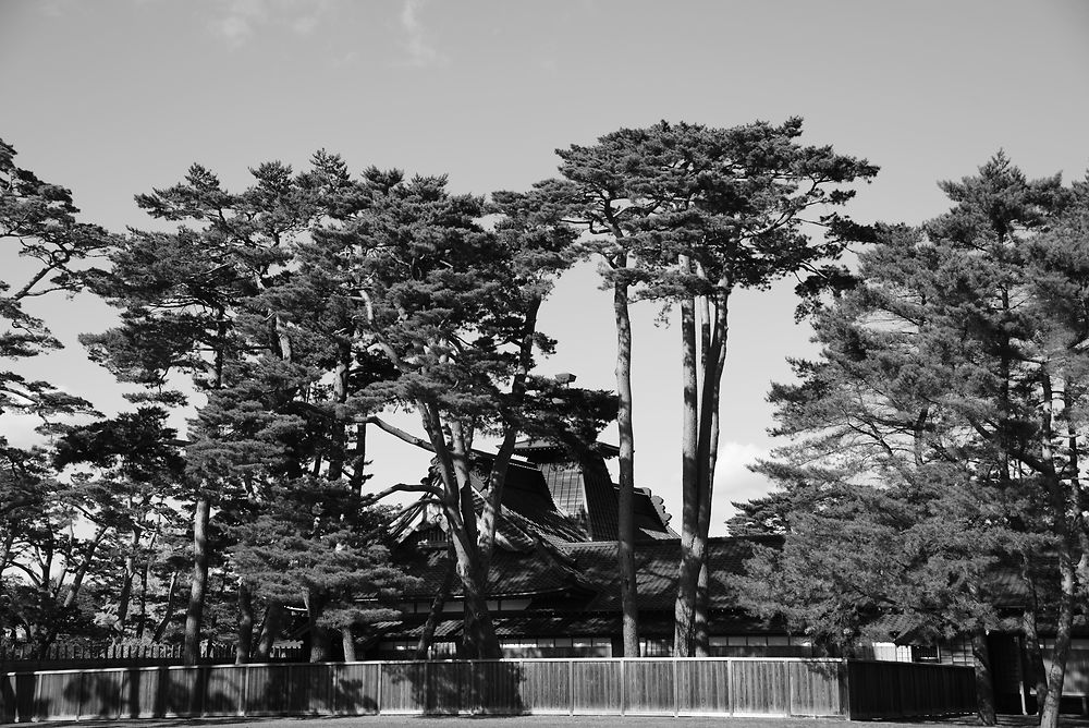 Hakodate forteresse de Goryokaku