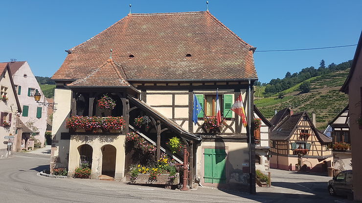 Maison authentique à Niedemorschwihr, Alsace