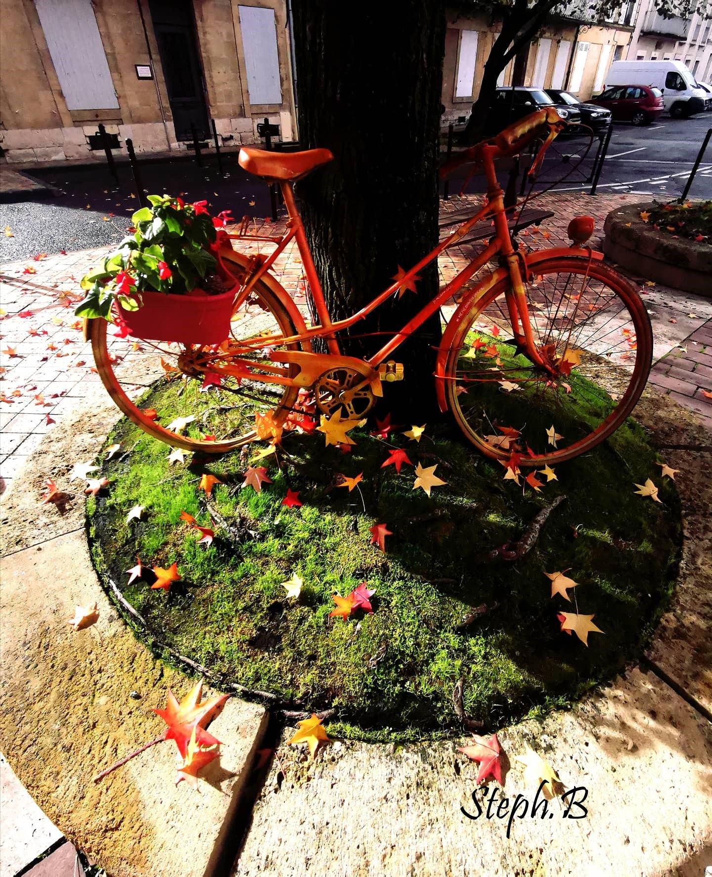 Les vélos d'automne d'Agen