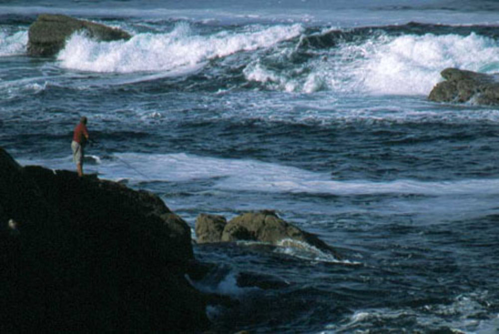 Ile d'Yeu, pêcheur