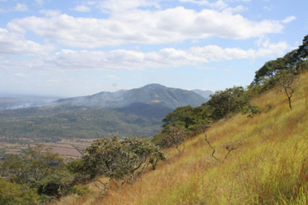 Volcan Telica