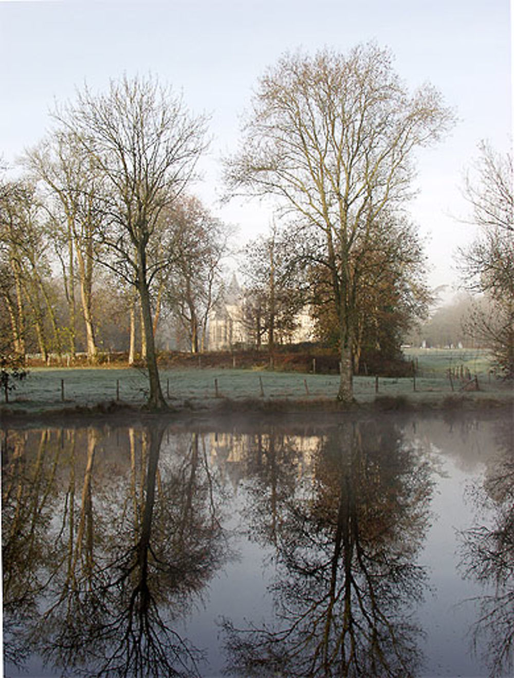 Etang de Touraine, château de l'Orfrasière