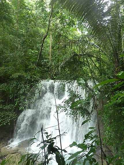 Cascades de Saluopa