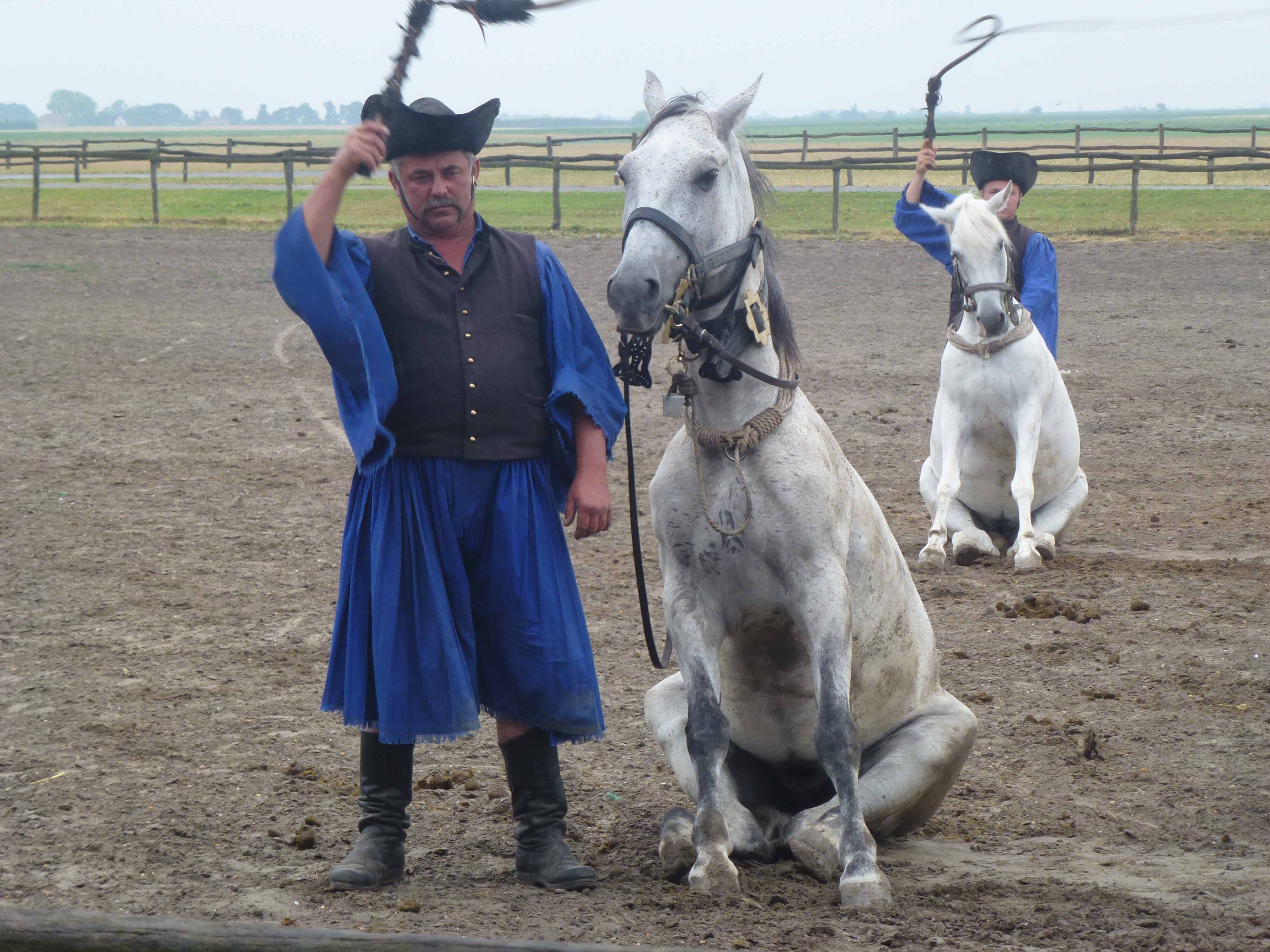 A la puszta A la puszta