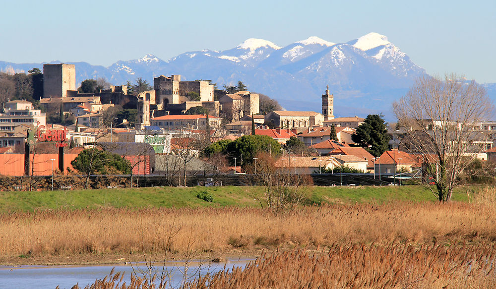 Montélimar et montagnes enneigées en arrière plan