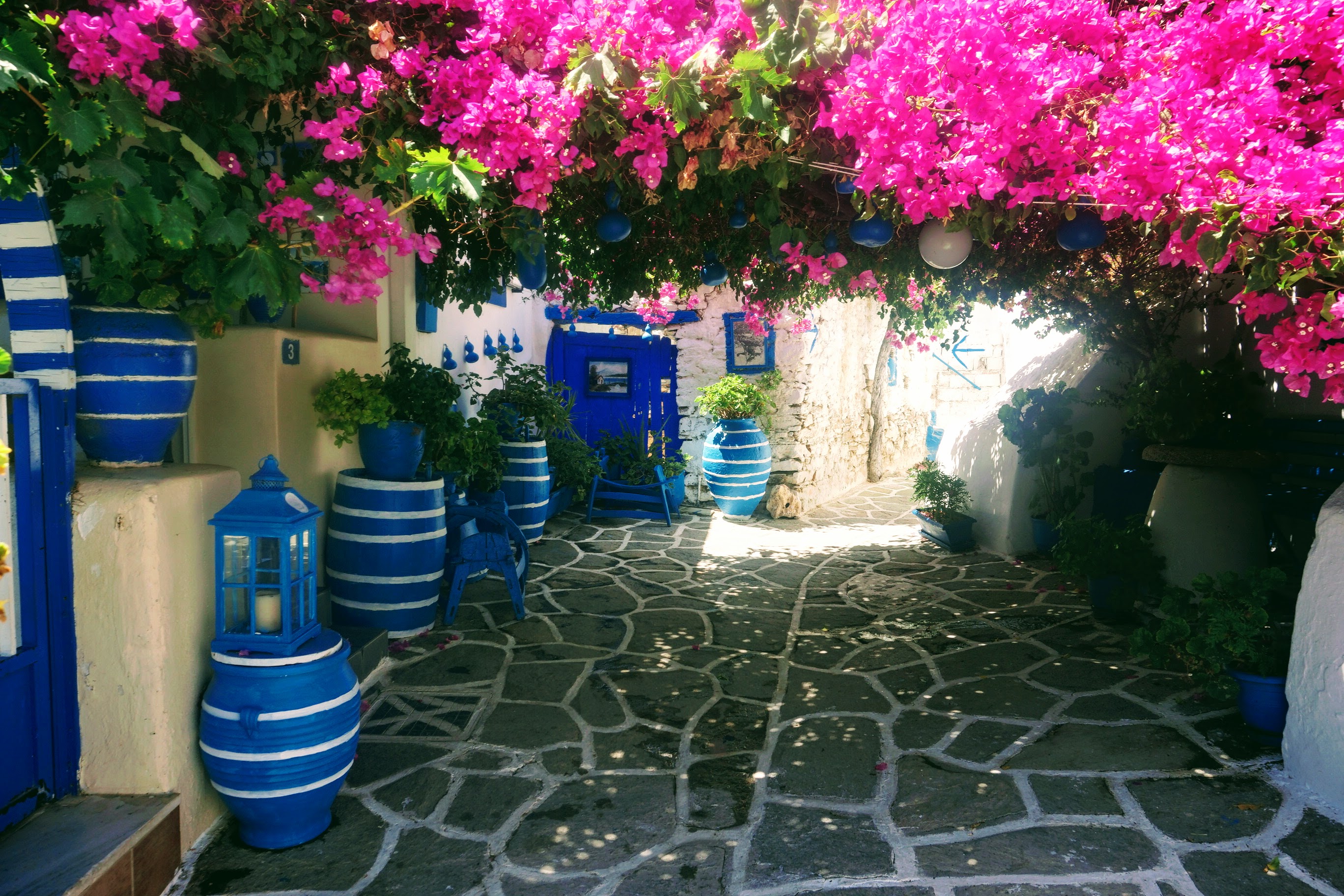 Prodromos Prodromos