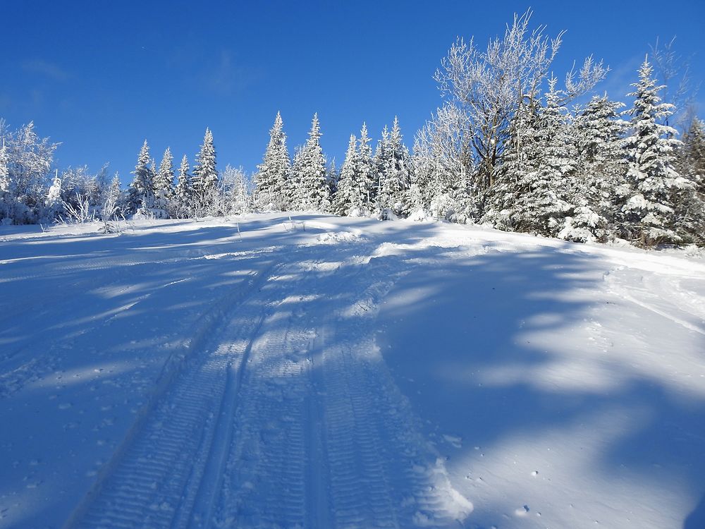 Terrain des loisirs, Sainte-Apolline, Québec