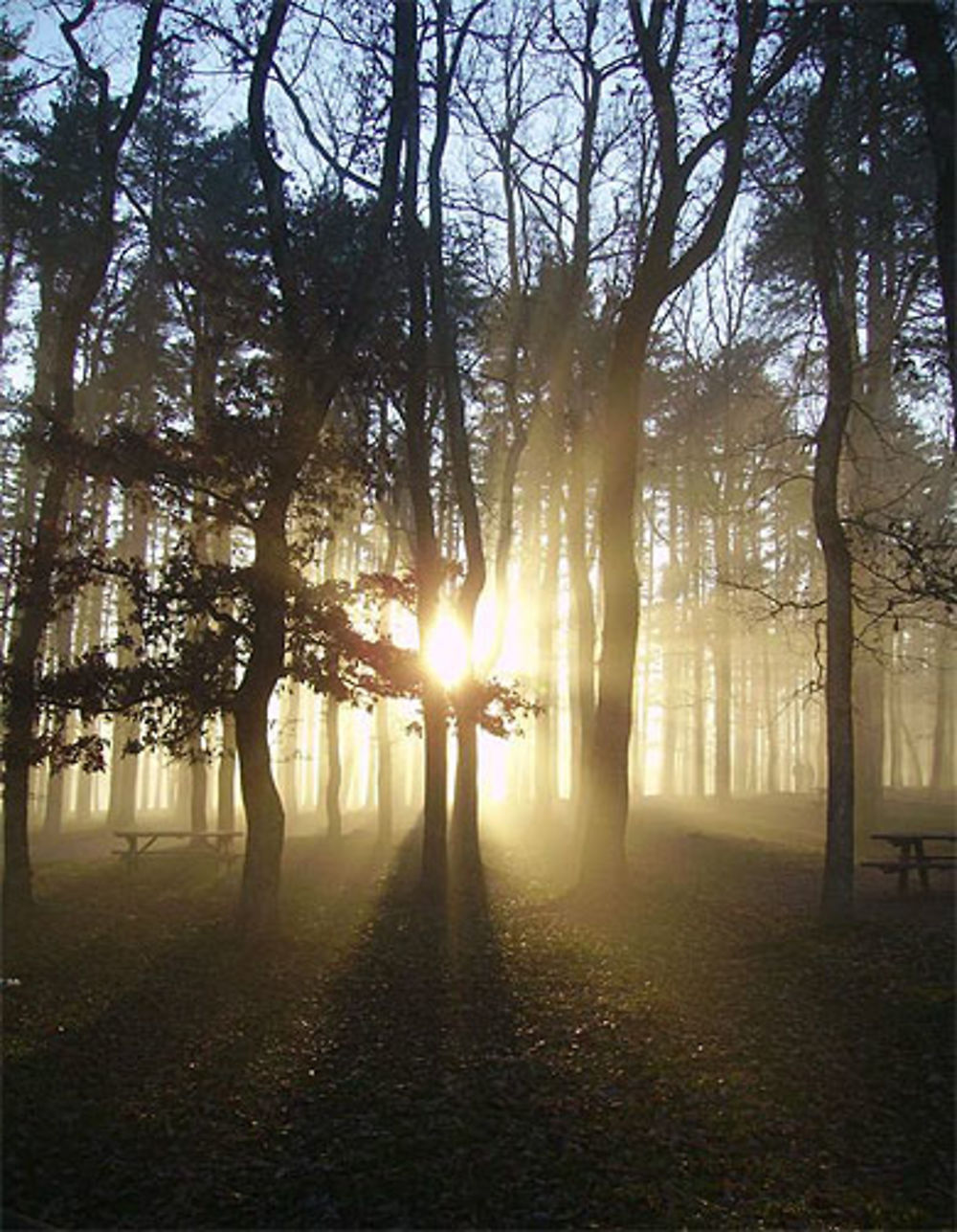 St Férréol sous la brume