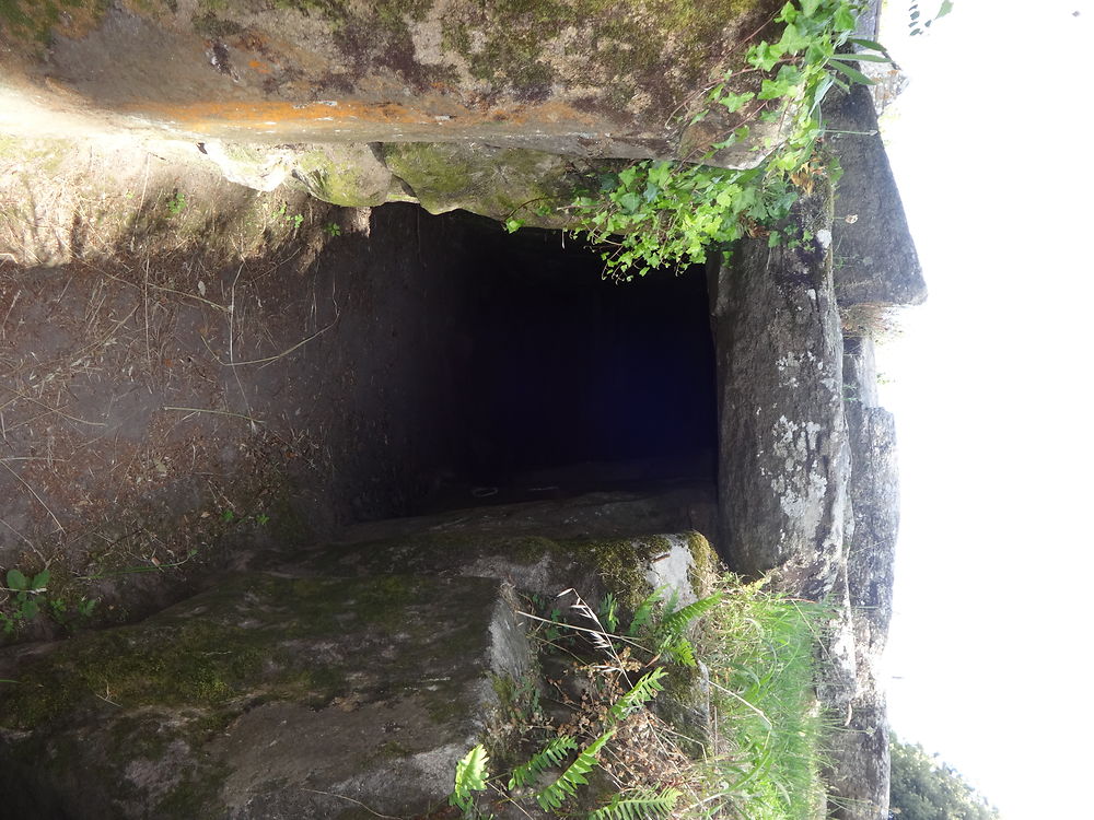 Dolmen de Mané Lud