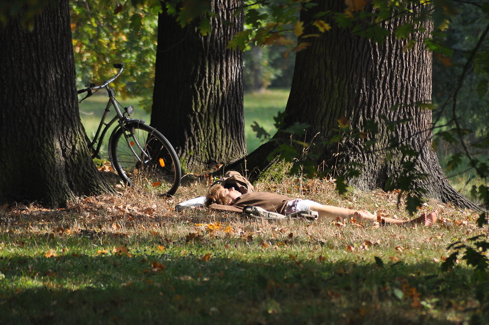 Par une belle journée d'automne