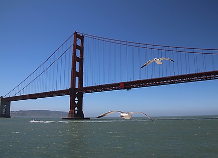 San Francisco Golden Bridge 