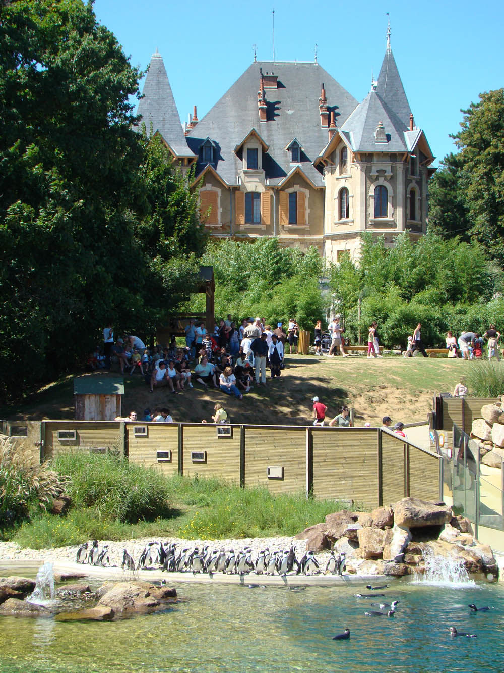 Château de Peaugres - au coeur du safari