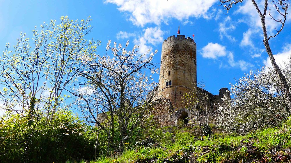 Château de Najac