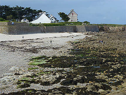 Marée basse à Portivy