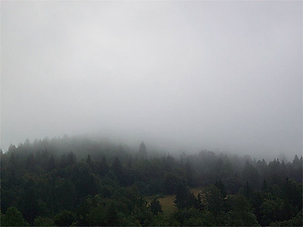 Brouillard à Bohinj