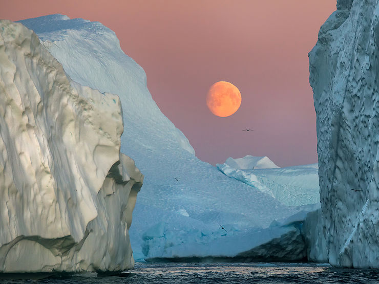 Fjord glacé (icefjord) d'Ilulissat - Michèle Lamesch