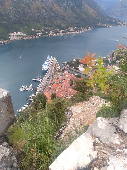 Kotor