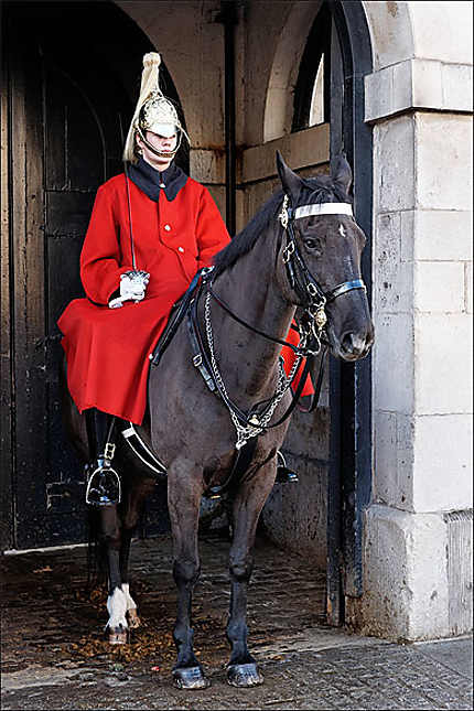 Horse guard