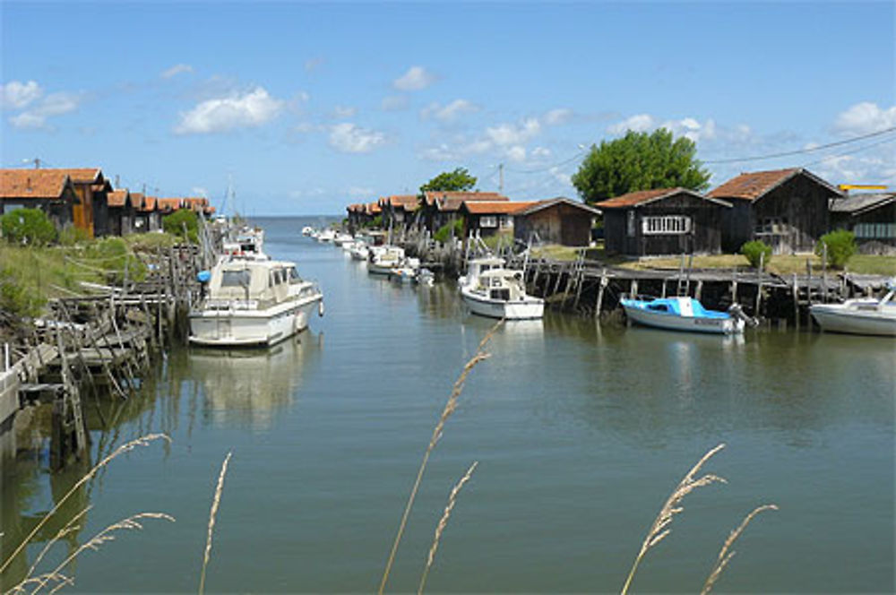 L'Eyre du Teich