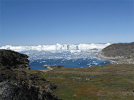 Vue sur les icebergs
