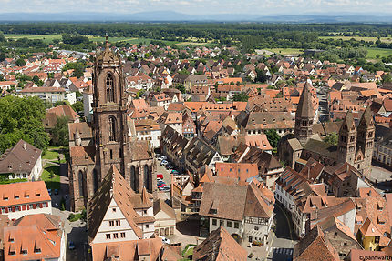 Sélestat, au cœur de l’Alsace
