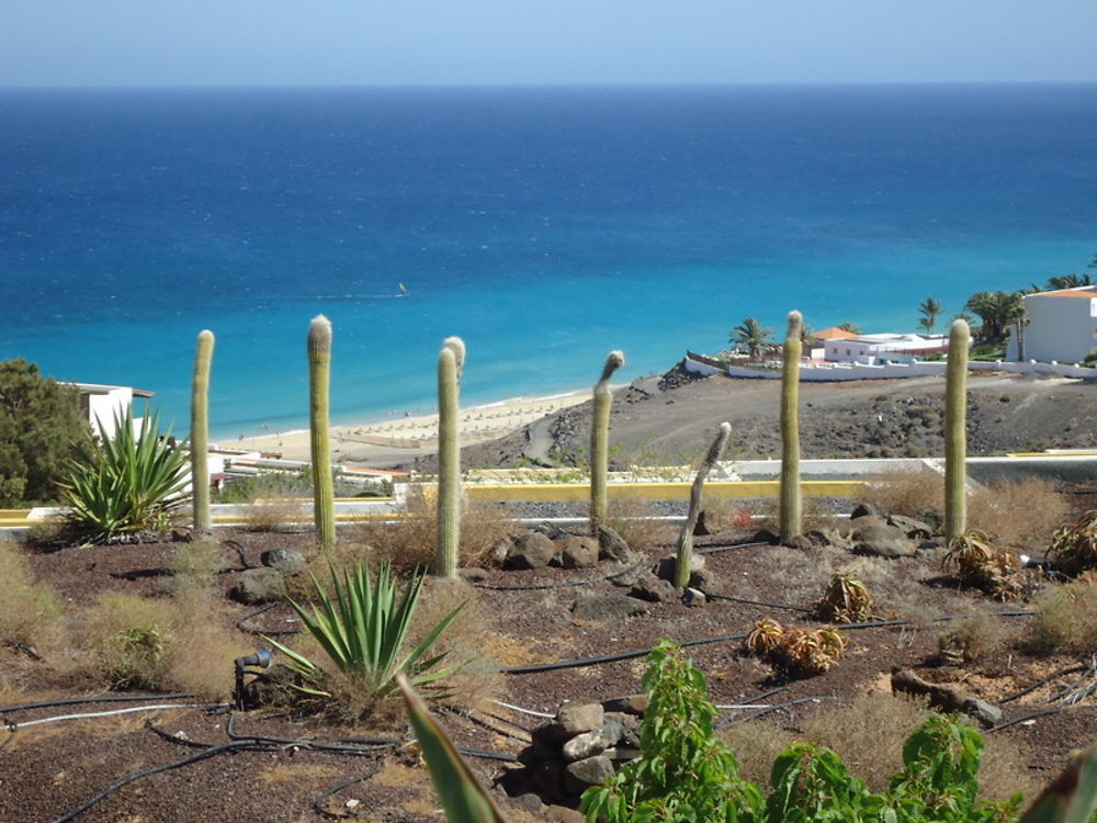 Playa de Esquinzo