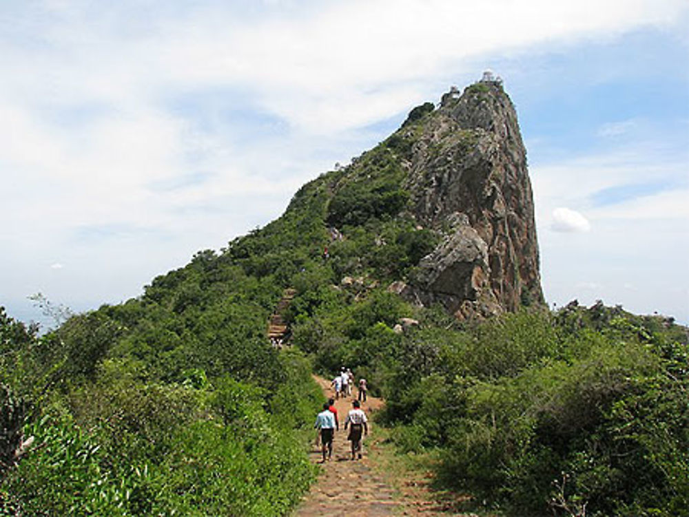 Trekking sur Thalaimalai