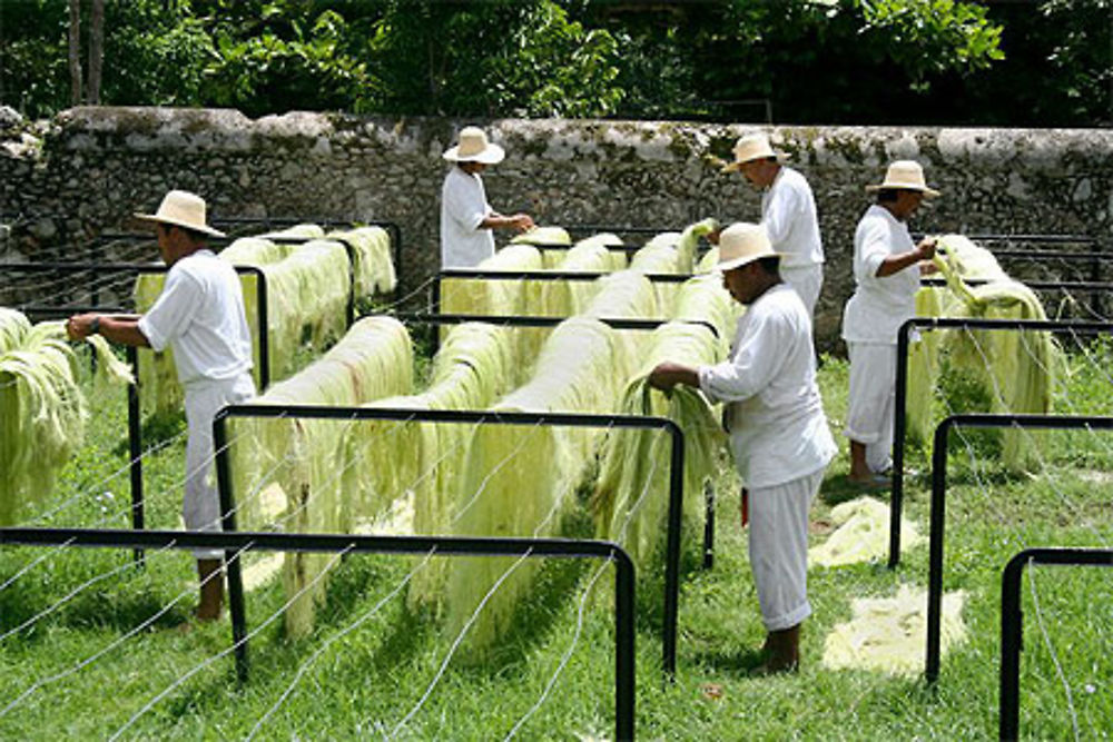 Hacienda Sotuta de Peón á Mérida, Yucatán