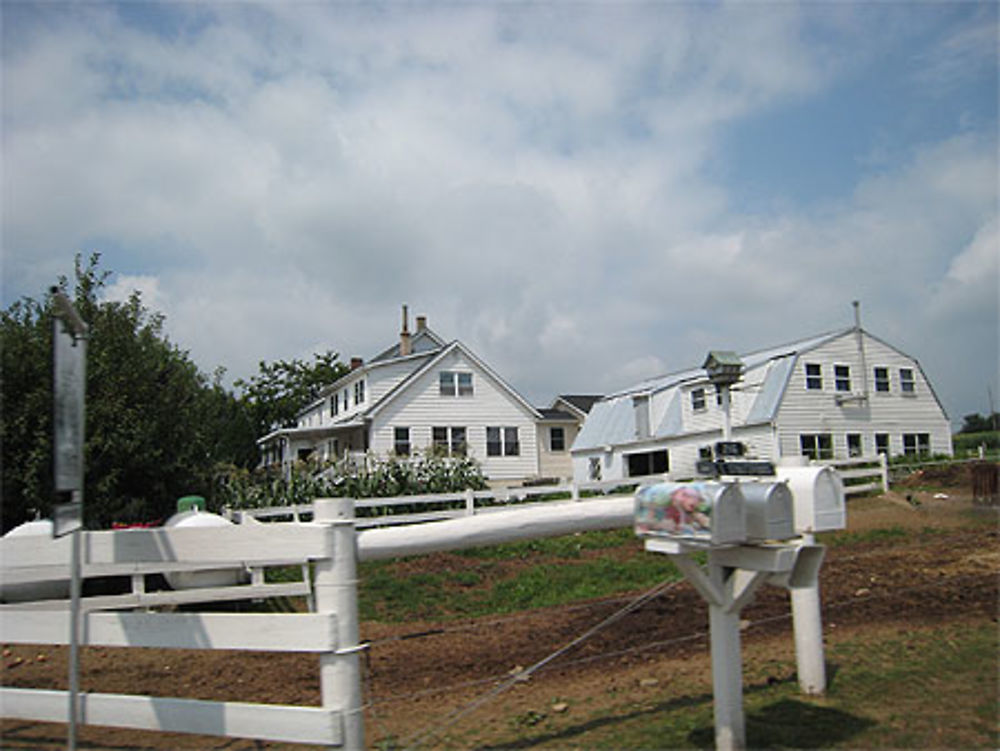 Ferme Amish