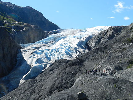 Exit Glacier au Parc National de Kenai Fjords 