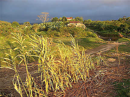 Pays Tanale - Madagascar