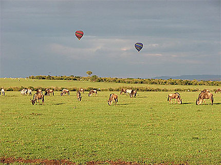Masaî Mara
