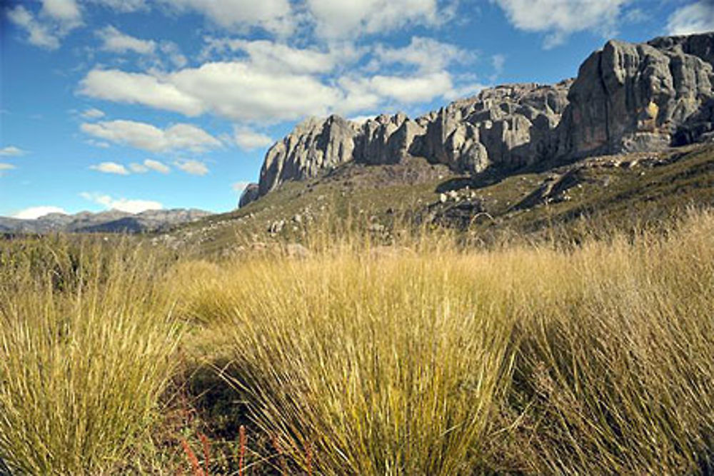 Prairies de Diavolana