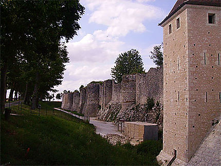 Les remparts de la ville haute de Provins