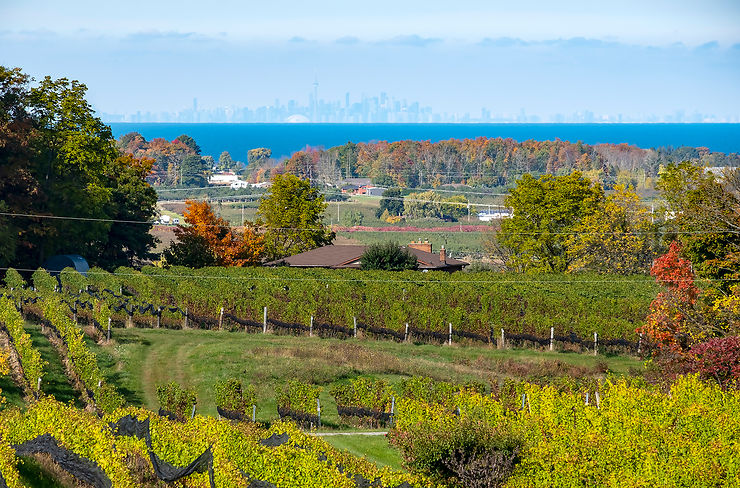 Route des vins et des caves