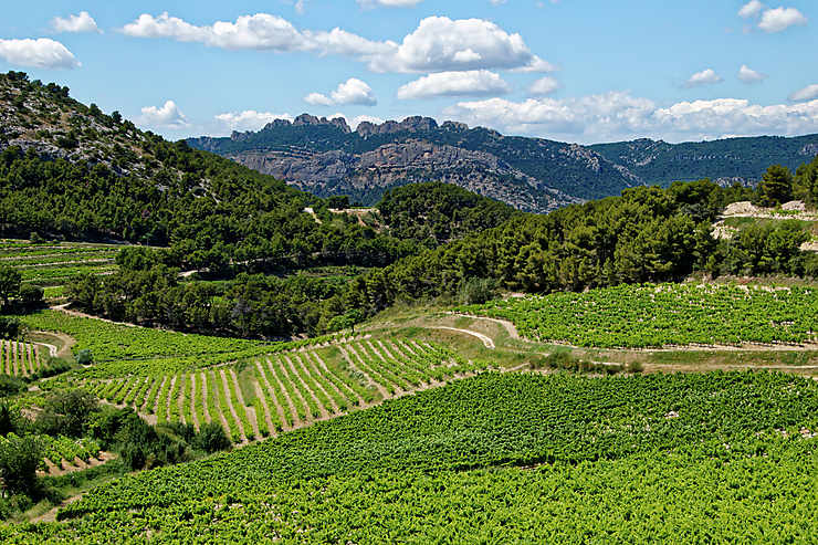 La route des vins des côtes du Rhône