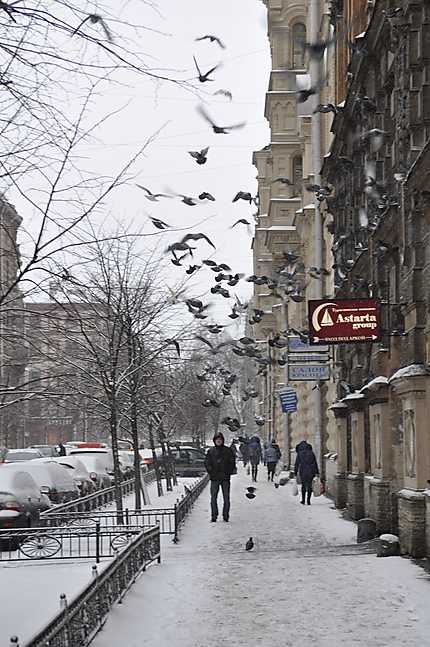 Rue de Saint Petersbourg